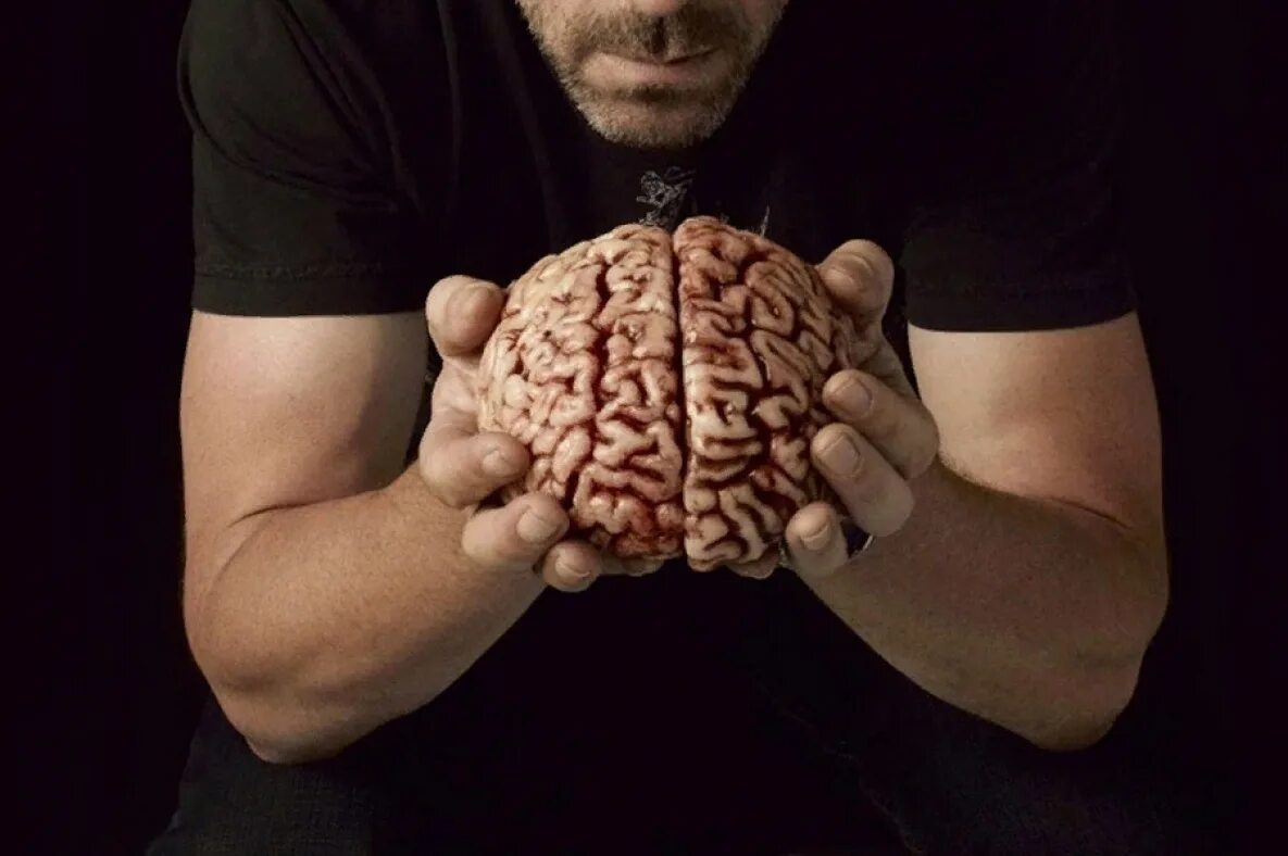 Мозг в руках. Человеческий мозг в руках. Украли мозг