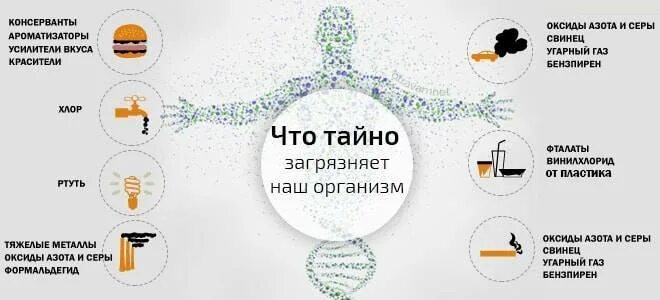 За какое время очищается. Очищение организма. Метод очищения организма. Почему необходимо очищать организм?. Схема очищения организма.