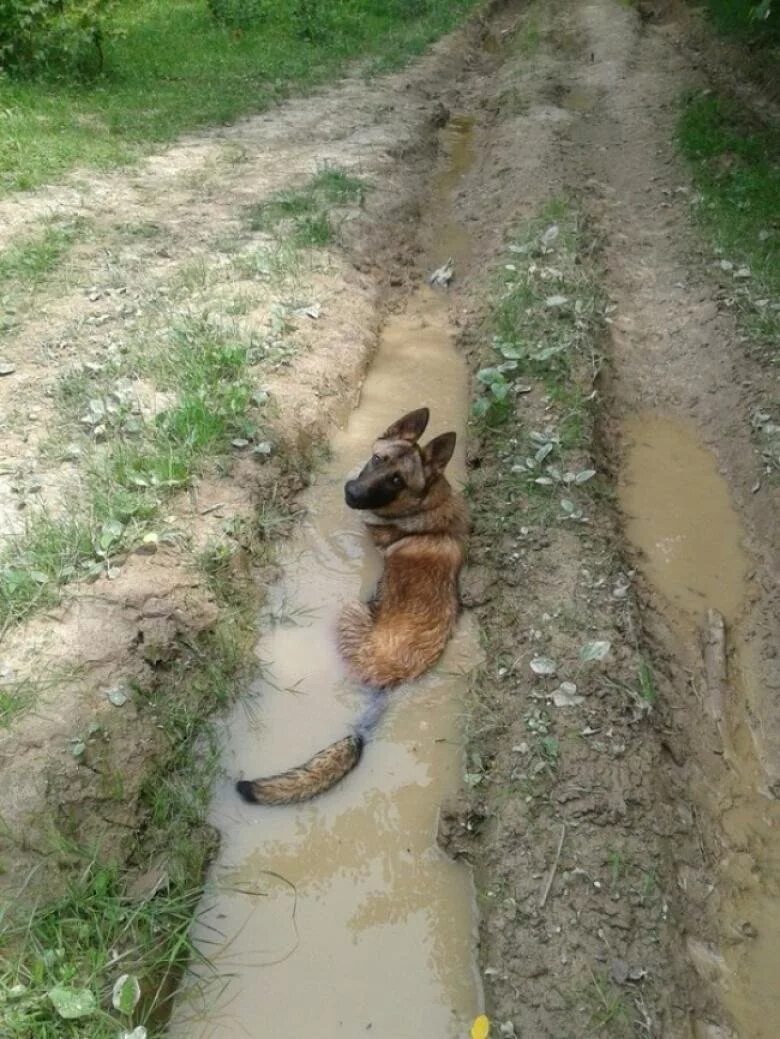 Не лезь сюда. Ты молодой шутливый. Улыбнись раз уж залез сюда. Мэм 2 панды ты сможешь. Мы панда.