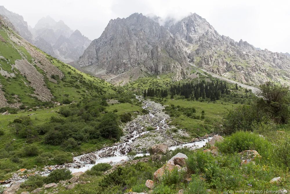 Ущелье ала-Арча Киргизия. Заповедник ала Арча Бишкек. Природный парк ала Арча Кыргызстан. Зона отдыха ала Арча. Парк ала арча