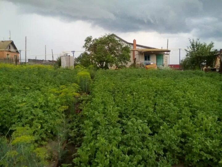 Погода бобровка красноармейский. Станция бобровка саратовская область. Село бобровка саратовская область. Погода бобровка красноармейский. Погода бобровка красноармейский.