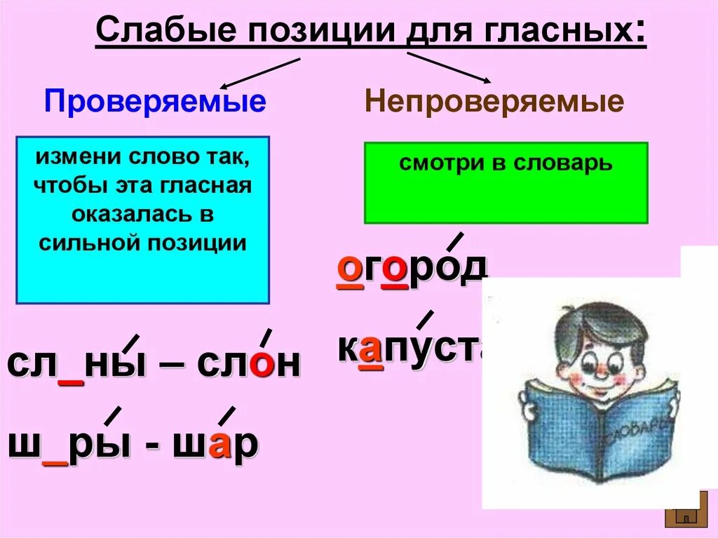 Сильный и слабый язык. Слабые позиции гласных. Орфограмма слабой позиции в слове. Орфограммы слабых позиций. Орфограммы слабых позиций гласных звуков.