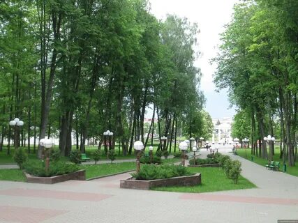 Парк молодечно