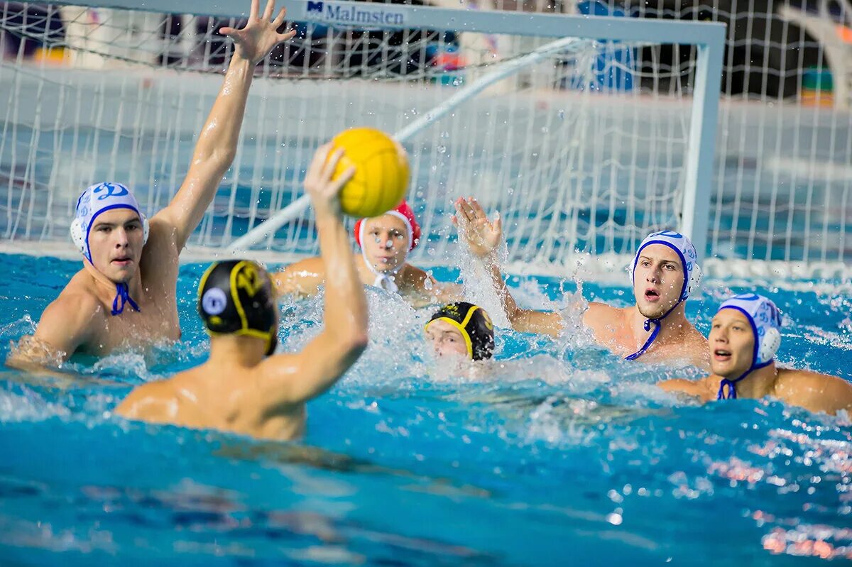 Водное поло ватерполист. Игровые виды спорта водное поло. Жемчужина водное поло. Water polo sport. Водное поло бассейн.