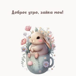 Зайчик утром