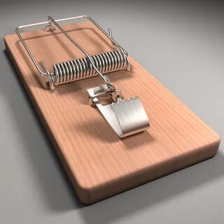 Mouse trap