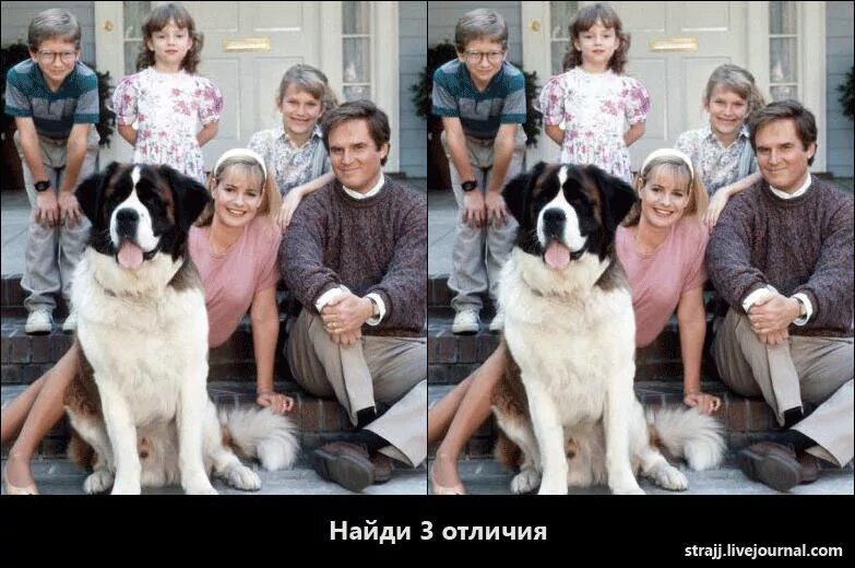 Найти 3 отличи. Найди отличия на фотографиях. Найди 3 отличия. Найди 3 отличия для взрослых. Различие фото.