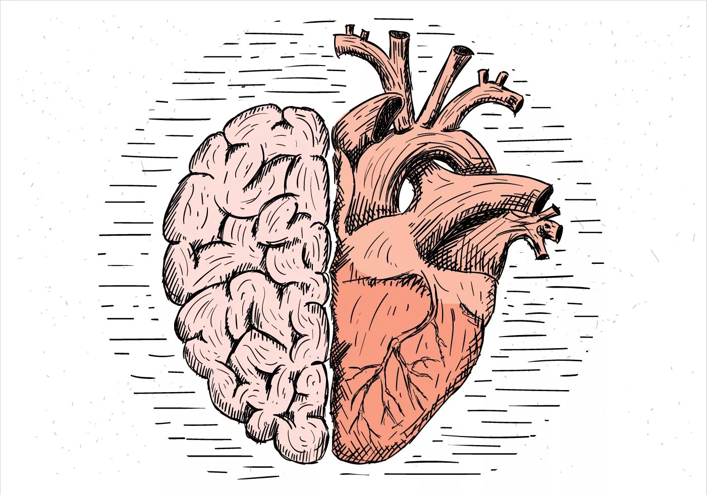 Мозги над головами. Ум и сердце. Мозг или сердце. Мозг против сердца.