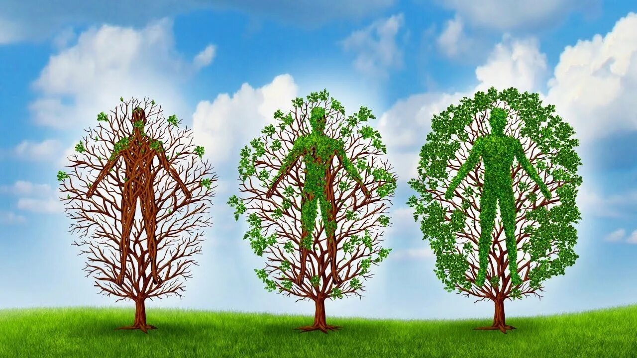 Три дерева символ. Три дерева. Дерево исцеления. Старение это в биологии. Дерево с людьми психология.