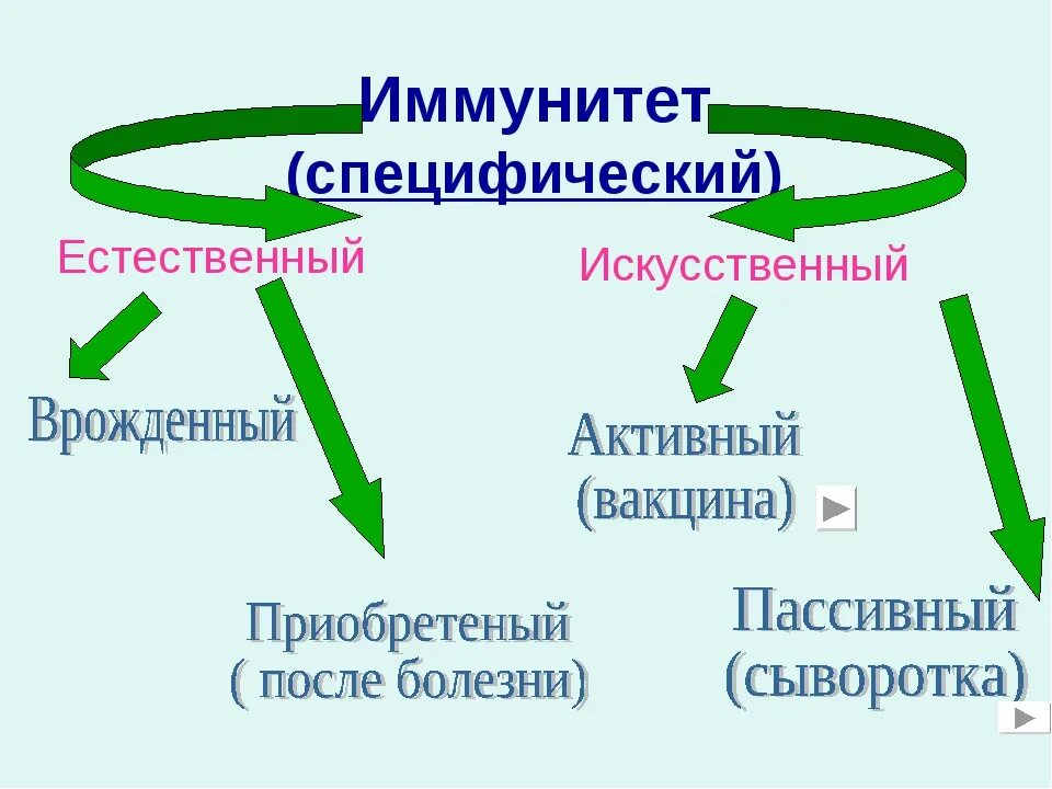 Специфический и неспецифический иммунитет схема. Специфические и неспецифические механизмы иммунитета. Специфический и неспецифический иммунитет кратко. Иммунитет механизмы неспецифического и специфического иммунитета. Естественный иммунитет особенности