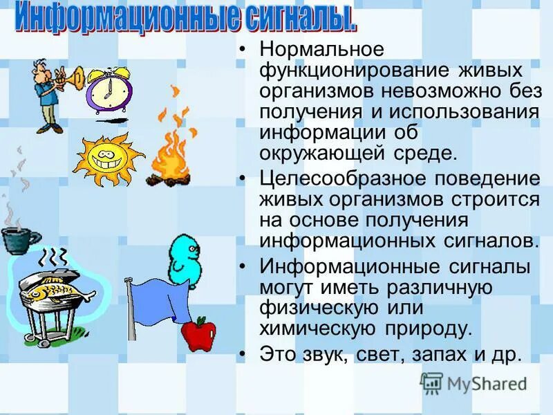 Виды информационных сигналов. Информационный сигнал определение. Не информационные параметры сигнала. Информация в природе техники обществе и технике. Информативные параметры сигнала.