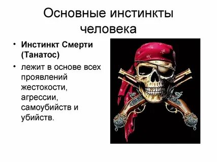 Основа инстинкта