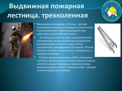 Сроки испытания трехколенной лестницы