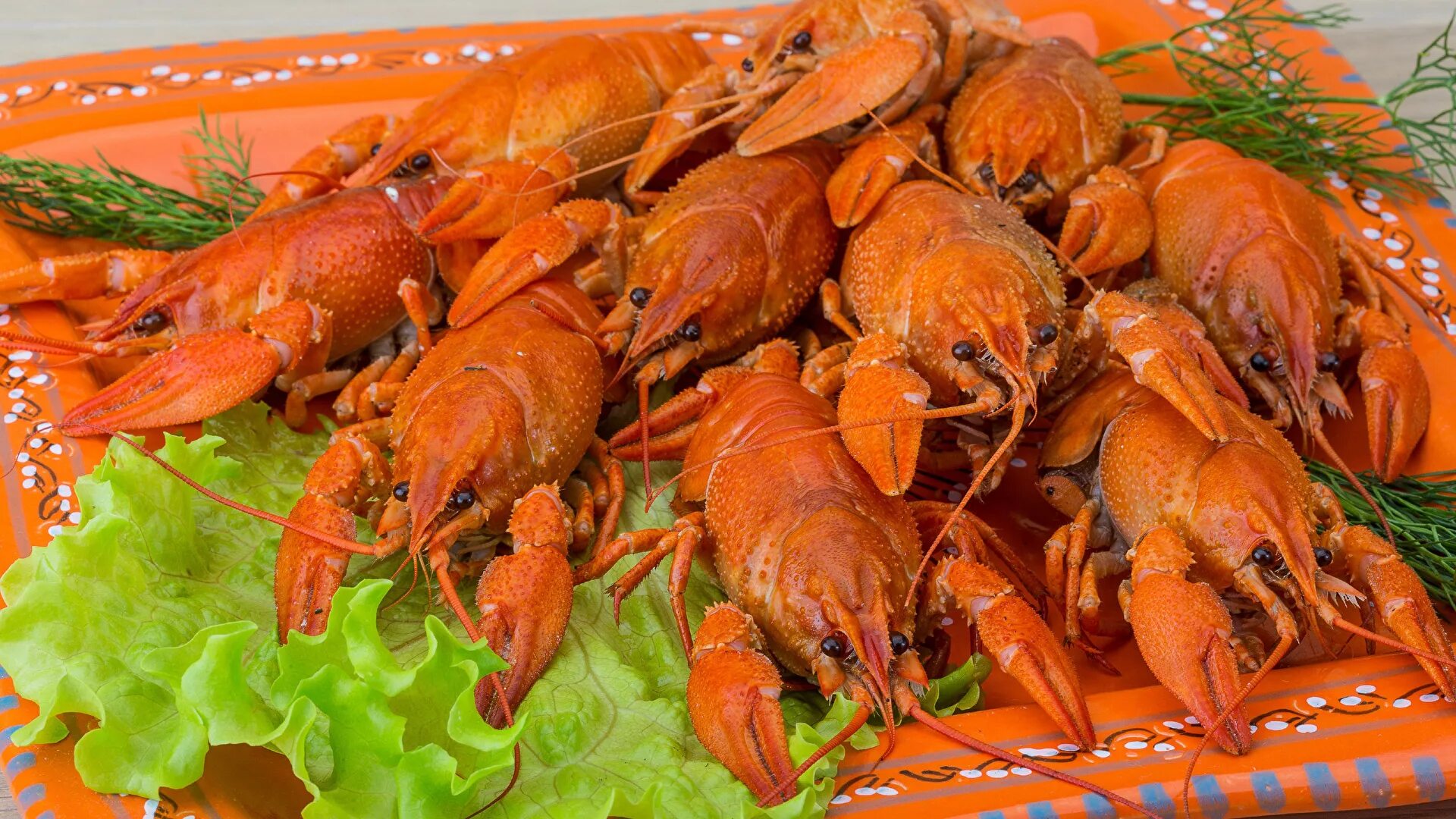 мелкие раки, обитающие в почве. фрак, живые раки. разведение ракообразных. перевозка живого краба. время для реков.