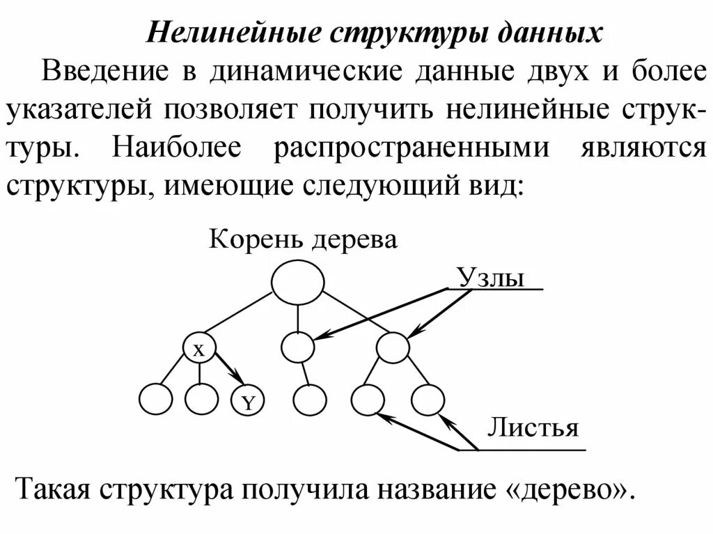 2 данные и их структуры: найдено 82 изображений