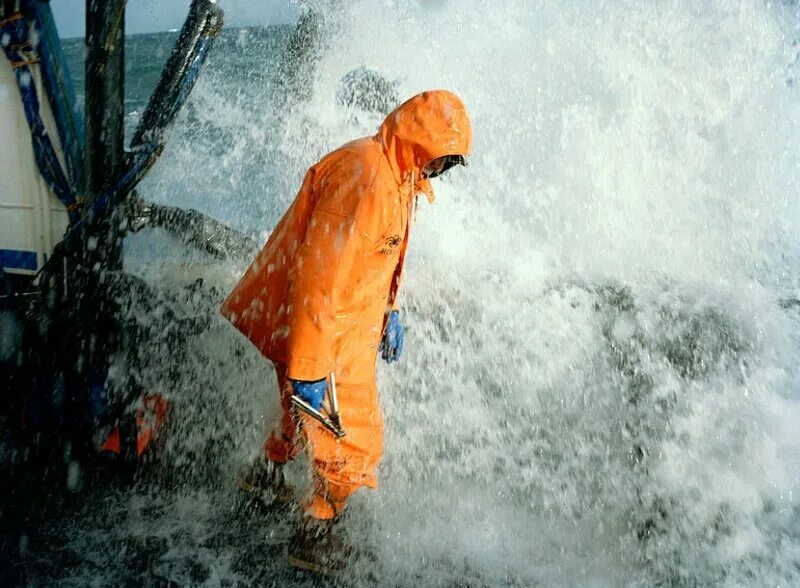 непальский мед диких пчел. шахтер проходчик. самые опасные профессии в мире. работники угольных шахт. опасная добыча.