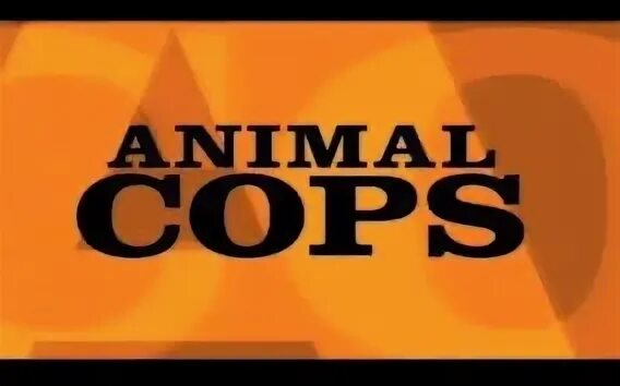 Another reason. Animal cops Philadelphia animal Planet. Animal cops Philadelphia Discovery uk. Betty Sorel animal cops.