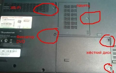 Packard bell не включается