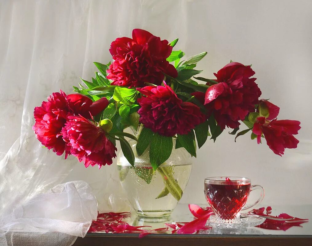 Открытки розы красивые с добрым утром. Пионовое настроение. Утренние цветы. Пион красный. Пионы букет в вазе.