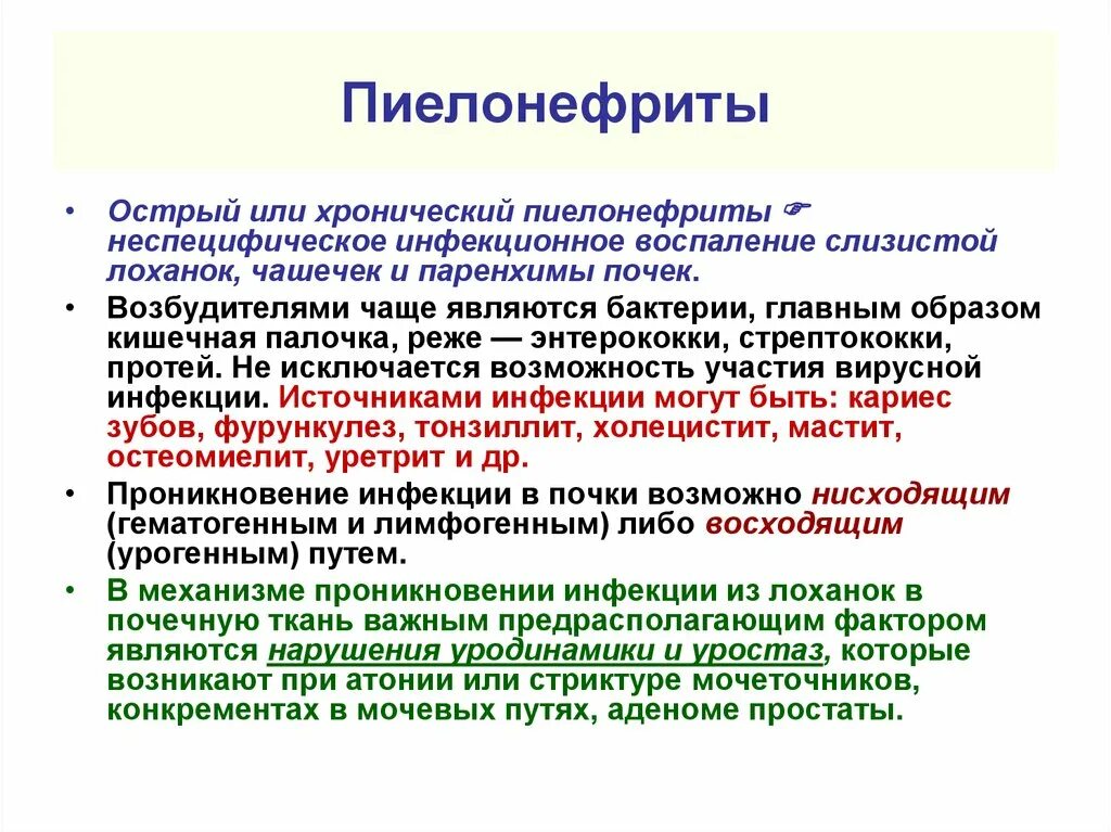 Хронический пиелонефрит возраст. Острый и хронический пиелонефрит. Пиелонефрит патофизиология. Патогенез пиелонефрита патофизиология. Причины острого и хронического пиелонефрита.