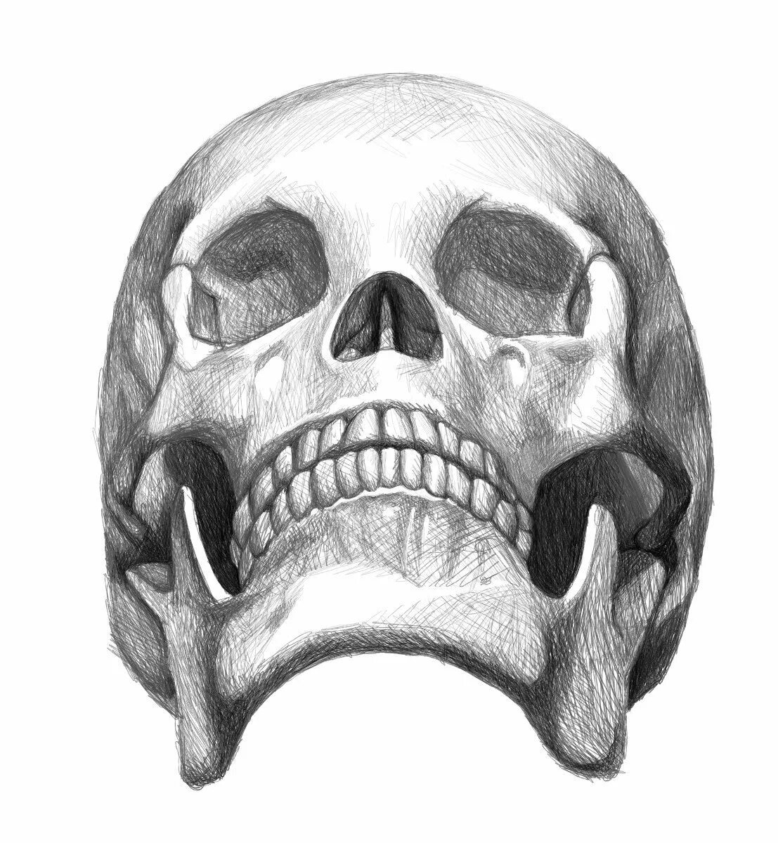 Skulls up. Skulls up. Азат нургалиев художник. Игровые автоматы черепа. Skulls up! quickspin.