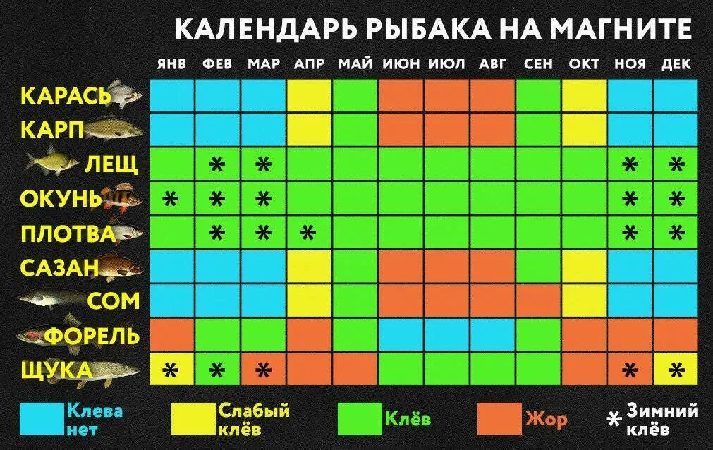 Прогноз клева на кубани. Рыболовный календарь. Календарь рыбалки. Таблица клева. График клева рыбы.