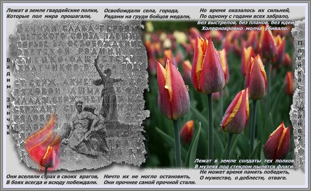 В тихом парке расцвели тюльпаны ярко песня. Что такое тюльпан на войне. тюльпаны у вечного огня. братские могилы в тюльпанах. над могилой в тихом парке расцвели тюльпаны ярко.
