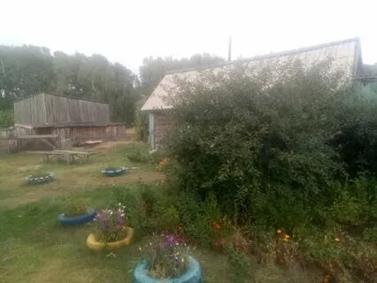 С белово алтайский край