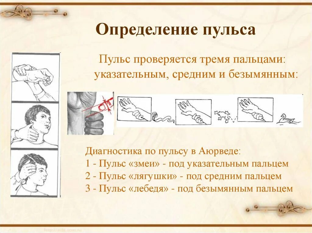 Определение пульса алгоритм. Определение пульса. схема определения пульса. памятка определение пульса. метод измерения пульса.