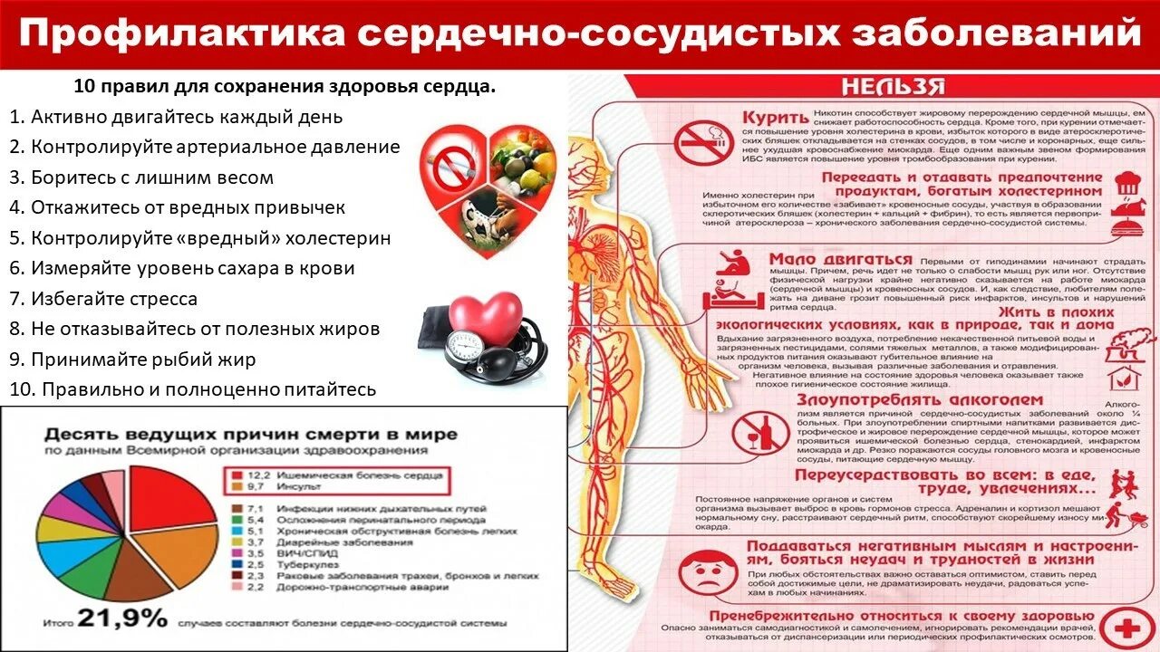 Профилактика сердечно сосудистых. Меры профилактики сердечно-сосудистых заболеваний. Профилактика сердечно-сосудистых заболеваний плакат. Профилактика заболеваний сердца. Профилактика болезней кровообращения