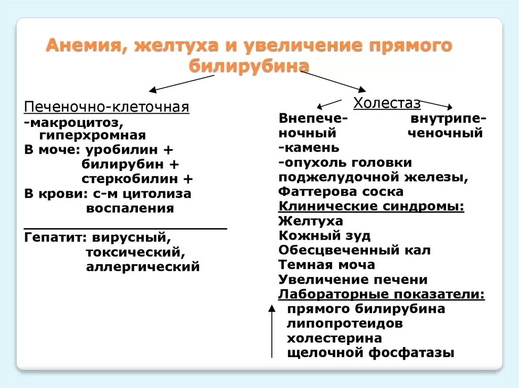 Повышение билирубина причины