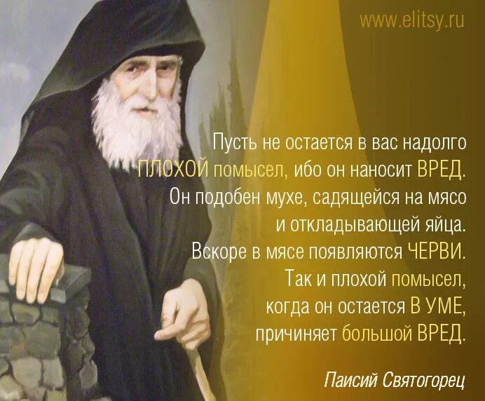Изречения преподобного паисия святогорца. Старцы о людях. Православные цитаты о жизни. Высказывания святых отцов о жизни. Высказывания старцев.