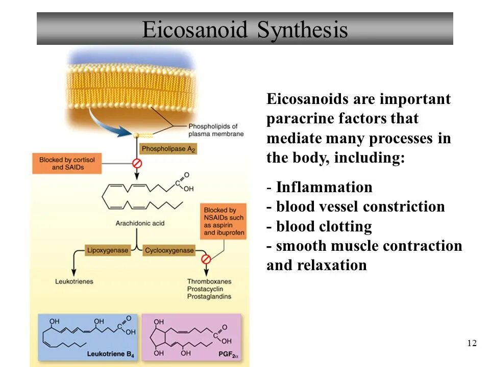 Synthesis. Eicosanoids. эйкозаноиды картинки. examples of eicosanoids. synthesis of nd‑fe‑b ppt.
