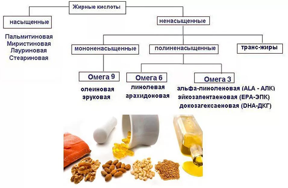 Насыщенные жирные кислоты что это. Классификация ненасыщенных жирных кислот. Синтез Омега 3 жирных кислот. Насыщенные жирные кислоты классификация. Омега ненасыщенные жирные кислоты.