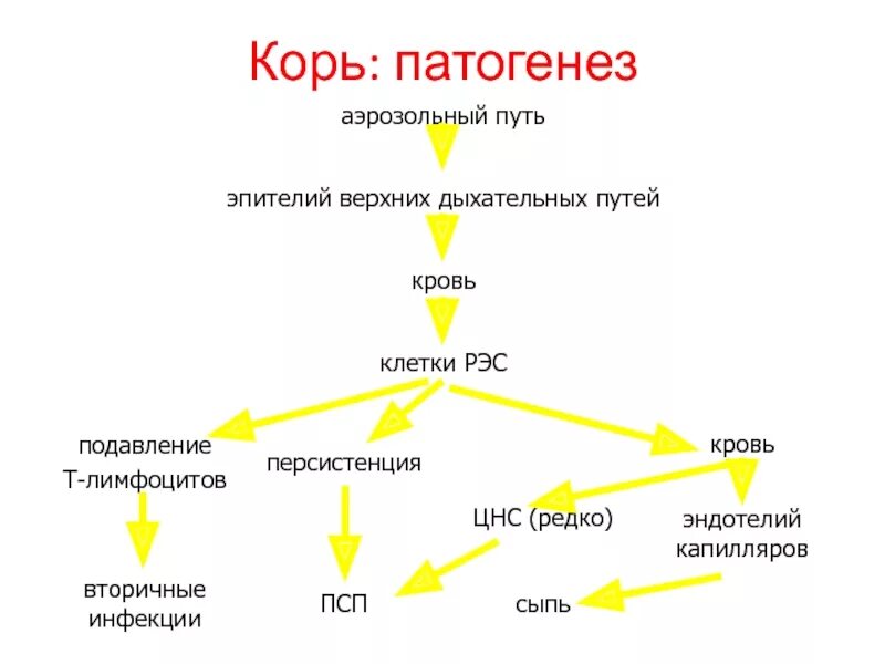 Патогенез кори схема. Патогенез кори картинки. Патогенез кори микробиология. Корь патогенез. Кори целей