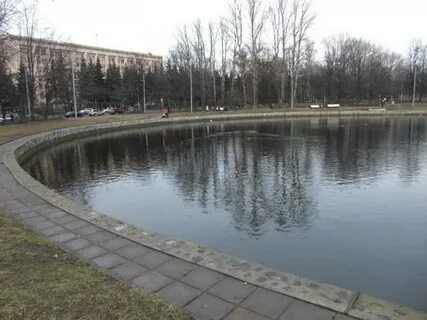 Площадь водоемов