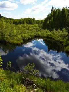 Северные реки видео