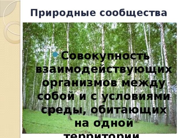 Природные сообщества Чувашии. Природное сообщество Новосибирска. Природное сообщество Ижевск. Природные сообщества Ярославской области. Природное сообщество тема 5 класс биология презентация