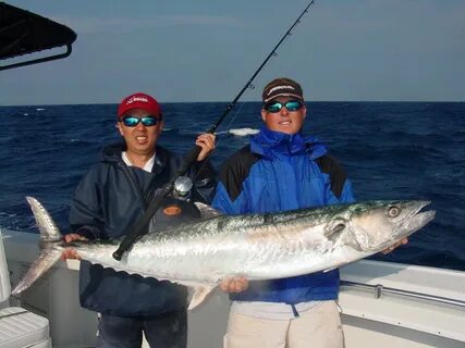 Fish king