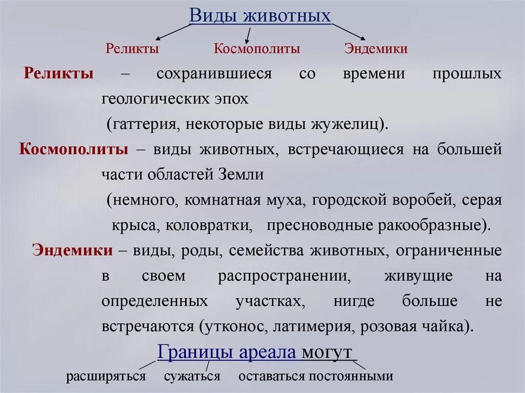 Ареал белого аиста в россии. Классификация ареалов. Ареалы обитания миграции закономерности. 3. Ареал миграции.