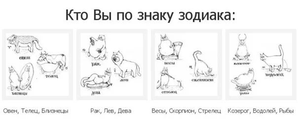 23 августа знак девы или льва. 22 Июля по знаку зодиака. 23 Августа кто по знаку зодиака Лев или Дева. 23 Августа знак Лев или Дева. 23 Июля гороскоп.