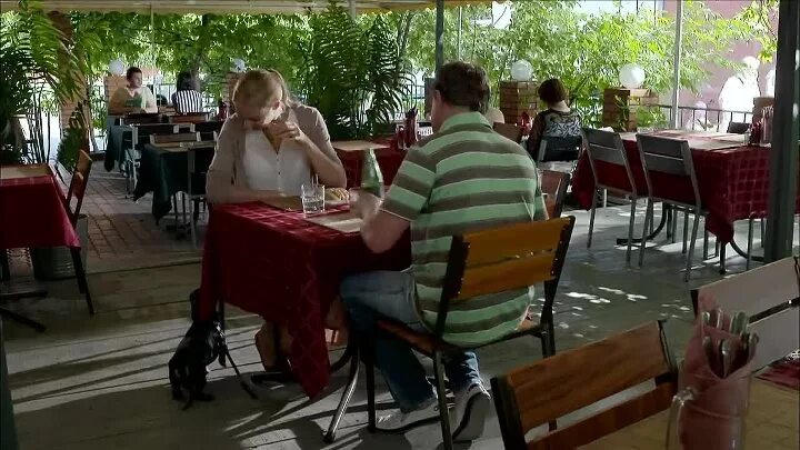 Улыбка пересмешника 10 серия. Кирилл сафонов улыбка пересмешника. Улыбка пересмешника сериал 2014. Сериал улыбка пересмешника 10 серия. Улыбка пересмешника казючиц анна казючиц.