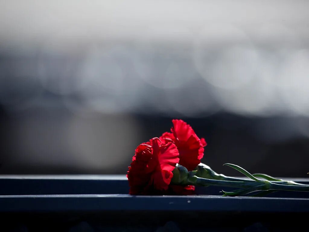 погиб на войне соболезнование семье. соболезнования по погибшим воинам. фото соболезнования. соболезнования военным. фотик соболезнования.