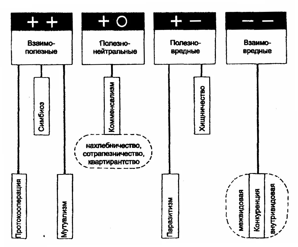 Основные типы взаимодействия видов. Основные типы экологических взаимодействий схема. Типы взаимодействия экология. Симбиоз схема. Типы взаимоотношений симбиоз схема.