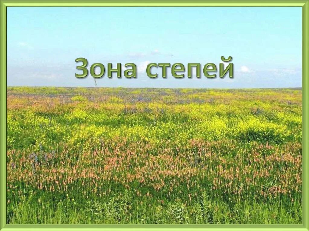 Степи. Зона степей. Степь природная зона. Степи окружающий мир.