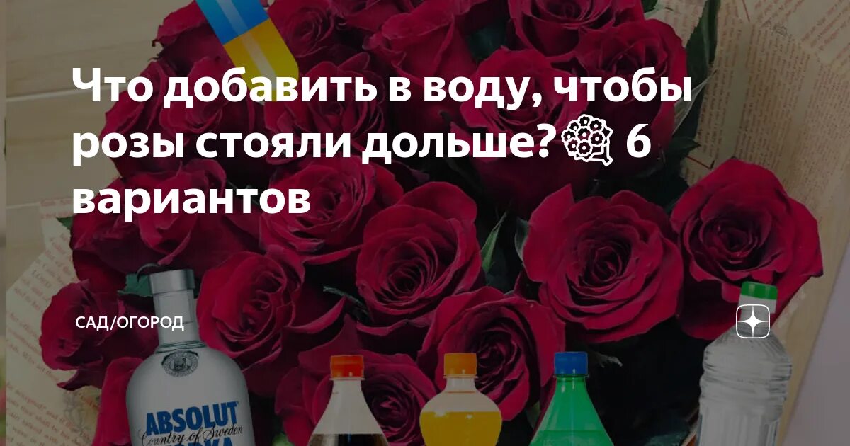 Чтобы розы стояли долго что добавить в воду. Чтобы розы дольше стояли в вазе. Чтобы розы в воде простояли дольше. Чтобы розы долго стояли в вазе что добавляют.