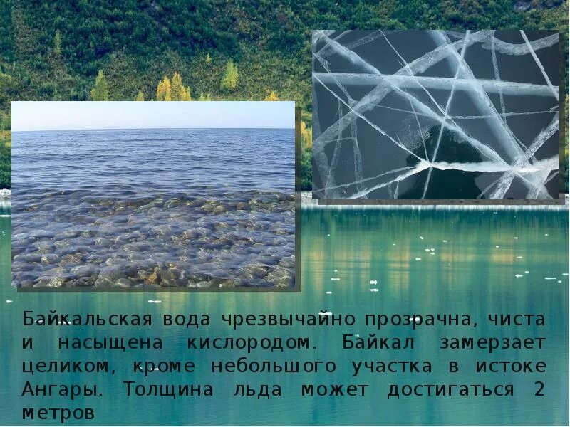 Презентация озеро байкал 3 класс. Прозрачность Байкальской воды. Байкал чистота воды. Озеро Байкал прозрачность воды. Озеро Байкал чистота воды прозрачность.