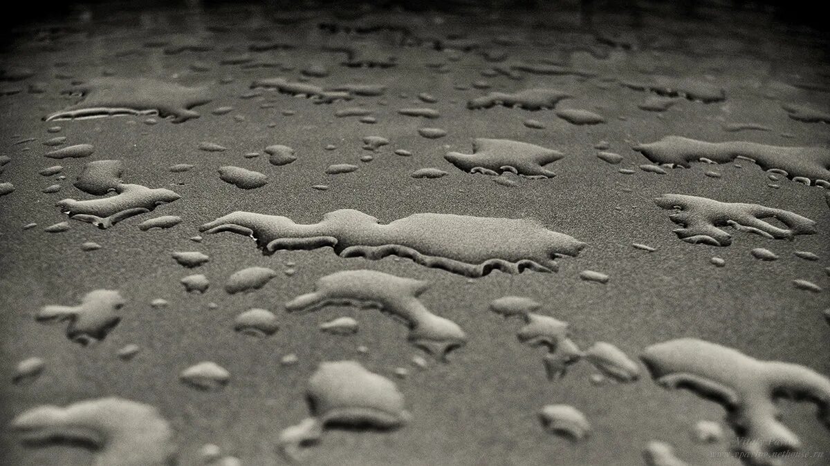 следы дождя слушать. обои дождь. лужа в городе осень. холодная осень в городе. следы дождя слушать.