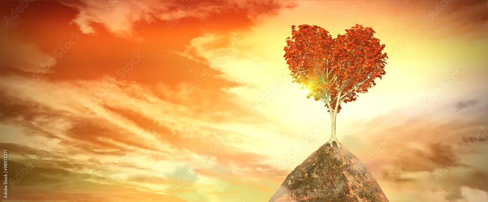 The heart of the tree