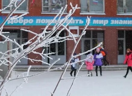 Школа 5 курган